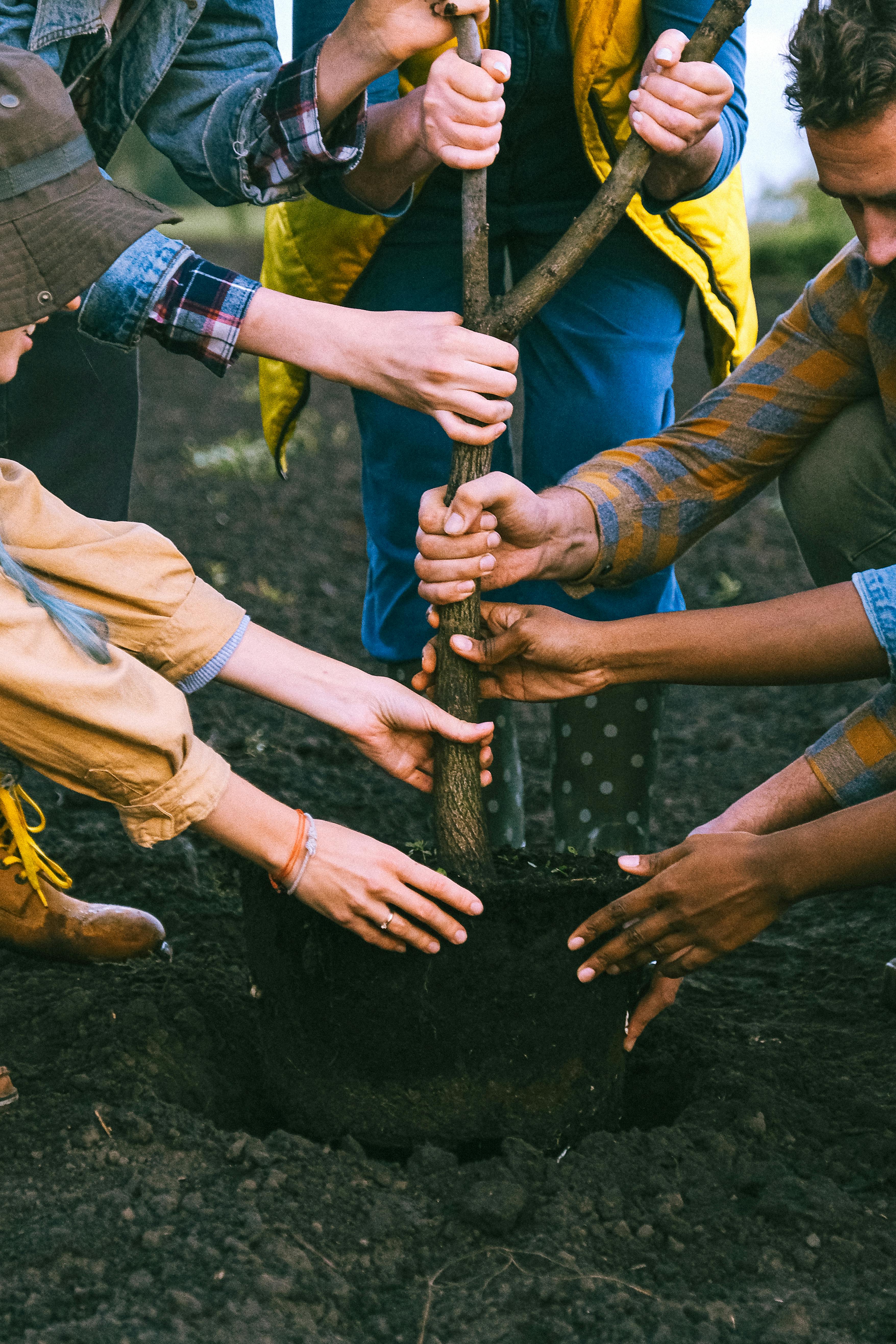 Green Apple Community Plants 500 Trees During National Environment Conservation Day